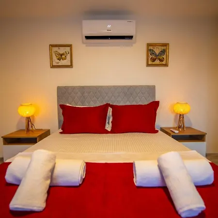 Star Hotel 4*
