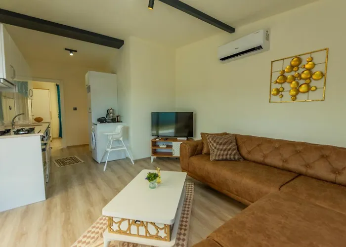 호텔 Star 페티예